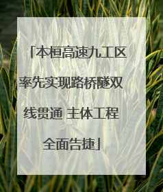 本桓高速九工区率先实现路桥隧双线贯通 主体工程全面告捷