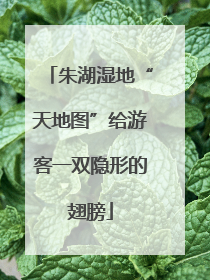 朱湖湿地“天地图”给游客一双隐形的翅膀