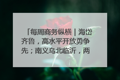 每周商务纵横｜海岱齐鲁，高水平开放勇争先；南义乌北临沂，两扇窗里观外贸