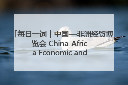每日一词｜中国—非洲经贸博览会 China-Africa Economic and Trade Expo