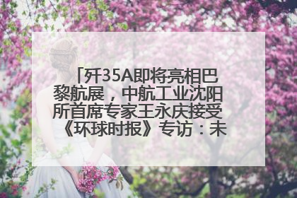 歼35A即将亮相巴黎航展，中航工业沈阳所首席专家王永庆接受《环球时报》专访：未来数量可以有很多