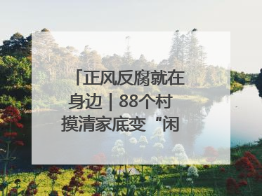 正风反腐就在身边｜88个村摸清家底变“闲”为“宝”