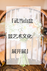 武当山盆景艺术文化展开展