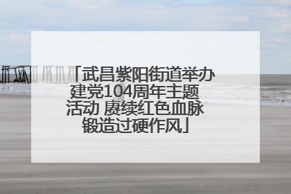武昌紫阳街道举办建党104周年主题活动 赓续红色血脉锻造过硬作风