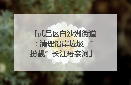 武昌区白沙洲街道：清理沿岸垃圾 “扮靓”长江母亲河