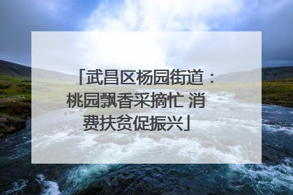 武昌区杨园街道：桃园飘香采摘忙 消费扶贫促振兴
