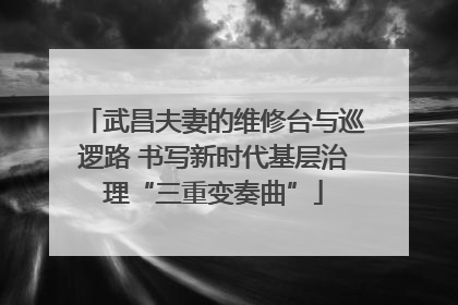 武昌夫妻的维修台与巡逻路 书写新时代基层治理“三重变奏曲”