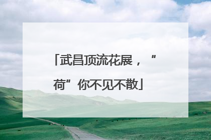 武昌顶流花展，“荷”你不见不散