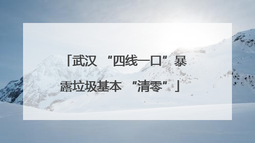 武汉 “四线一口”暴露垃圾基本 “清零”