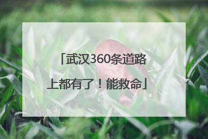 武汉360条道路上都有了！能救命