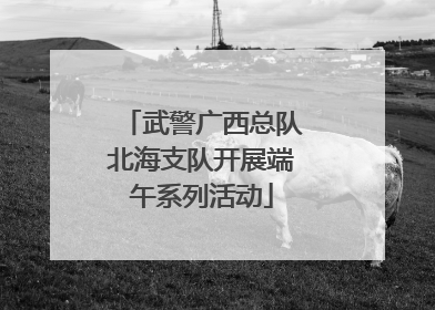 武警广西总队北海支队开展端午系列活动