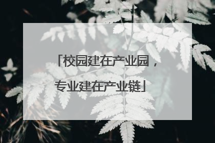 校园建在产业园，专业建在产业链