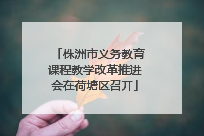 株洲市义务教育课程教学改革推进会在荷塘区召开