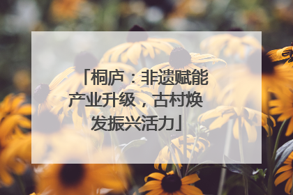 桐庐：非遗赋能产业升级，古村焕发振兴活力