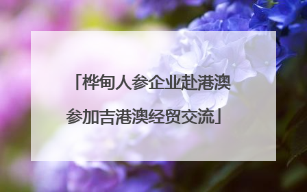 桦甸人参企业赴港澳参加吉港澳经贸交流