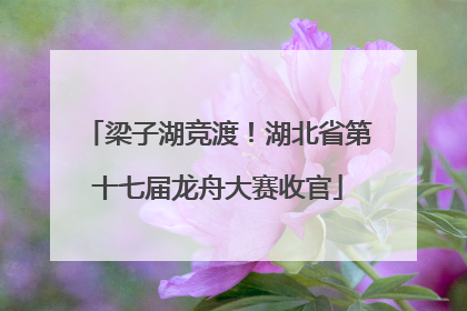 梁子湖竞渡！湖北省第十七届龙舟大赛收官