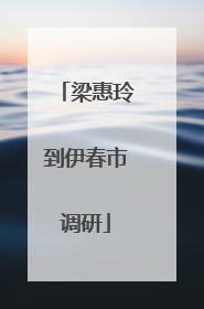 梁惠玲到伊春市调研