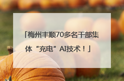 梅州丰顺70多名干部集体“充电”AI技术！