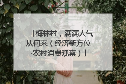 梅林村，满满人气从何来（经济新方位·农村消费观察）