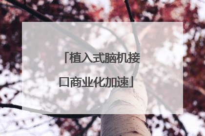 植入式脑机接口商业化加速