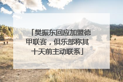 樊振东回应加盟德甲联赛，俱乐部称其十天前主动联系
