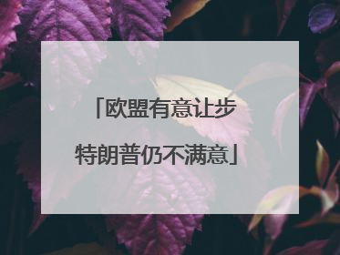 欧盟有意让步 特朗普仍不满意