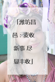 潍坊昌邑：麦收新事 尽显丰收
