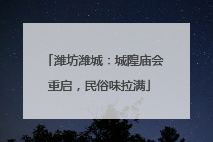 潍坊潍城：城隍庙会重启，民俗味拉满