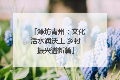 潍坊青州：文化活水润沃土 乡村振兴谱新篇