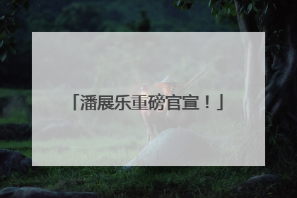 潘展乐重磅官宣！