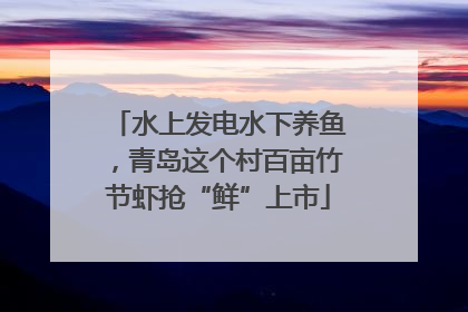 水上发电水下养鱼，青岛这个村百亩竹节虾抢“鲜”上市