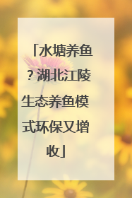 水塘养鱼？湖北江陵生态养鱼模式环保又增收