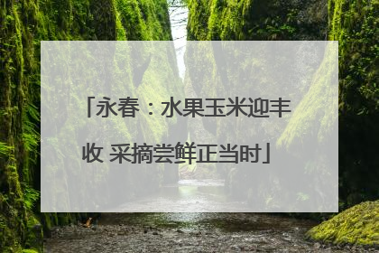 永春：水果玉米迎丰收 采摘尝鲜正当时