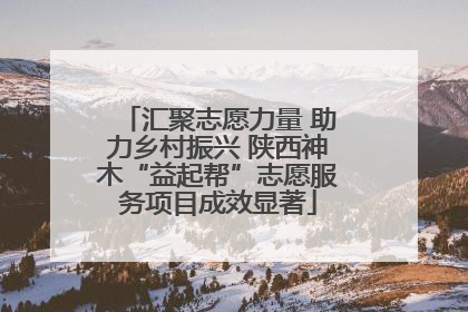 汇聚志愿力量 助力乡村振兴 陕西神木“益起帮”志愿服务项目成效显著