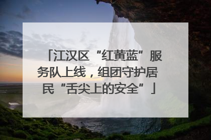 江汉区“红黄蓝”服务队上线，组团守护居民“舌尖上的安全”