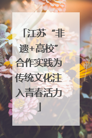 江苏“非遗+高校”合作实践为传统文化注入青春活力