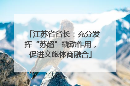 江苏省省长：充分发挥“苏超”撬动作用，促进文旅体商融合