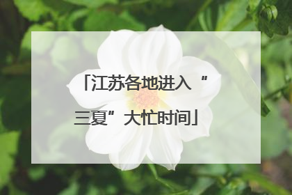 江苏各地进入“三夏”大忙时间