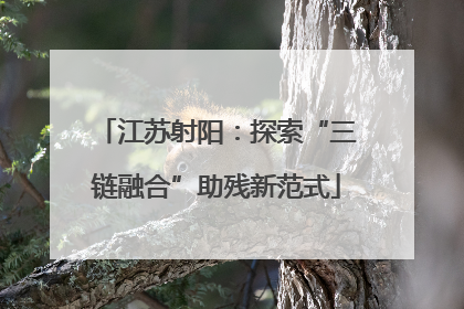 江苏射阳：探索“三链融合”助残新范式