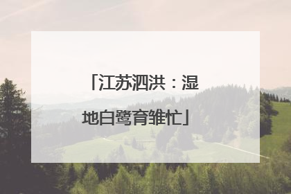 江苏泗洪：湿地白鹭育雏忙