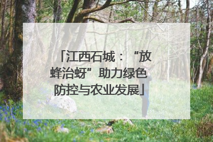 江西石城：“放蜂治蚜”助力绿色防控与农业发展