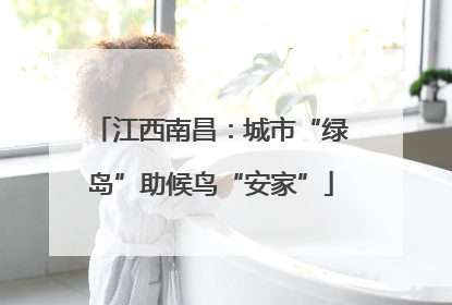 江西南昌：城市“绿岛”助候鸟“安家”