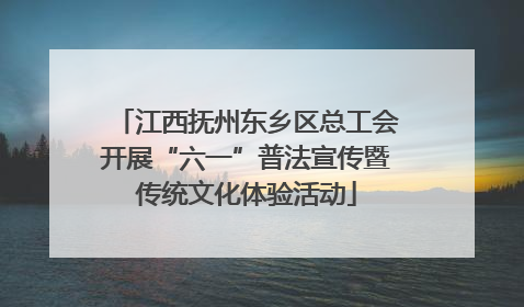 江西抚州东乡区总工会开展“六一”普法宣传暨传统文化体验活动