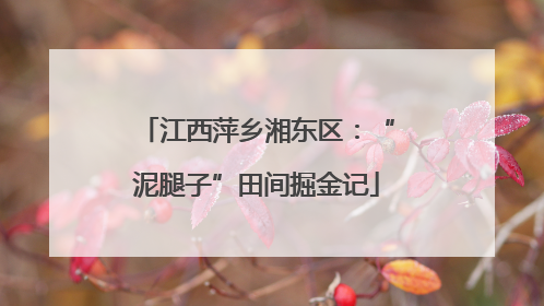 江西萍乡湘东区：“泥腿子”田间掘金记