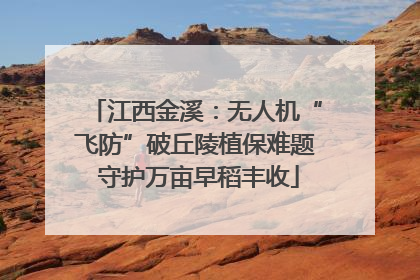 江西金溪：无人机“飞防”破丘陵植保难题 守护万亩早稻丰收