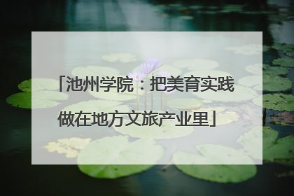池州学院：把美育实践做在地方文旅产业里