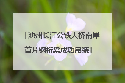 池州长江公铁大桥南岸首片钢桁梁成功吊装