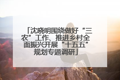 沈晓明围绕做好“三农”工作、推进乡村全面振兴开展“十五五”规划专题调研