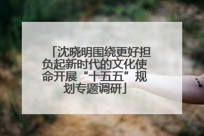 沈晓明围绕更好担负起新时代的文化使命开展“十五五”规划专题调研