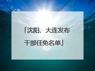 沈阳、大连发布干部任免名单